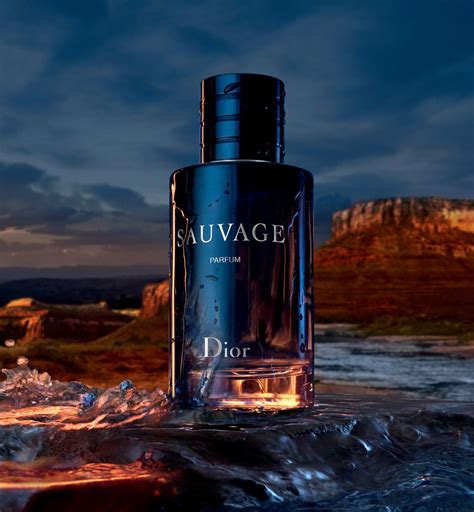 dior saucage|dior sauvage best price.